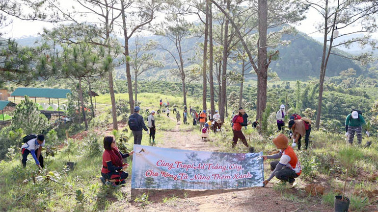 Tổ chức trồng rừng tại khu vực dã ngoại cắm trại Tà Năng.