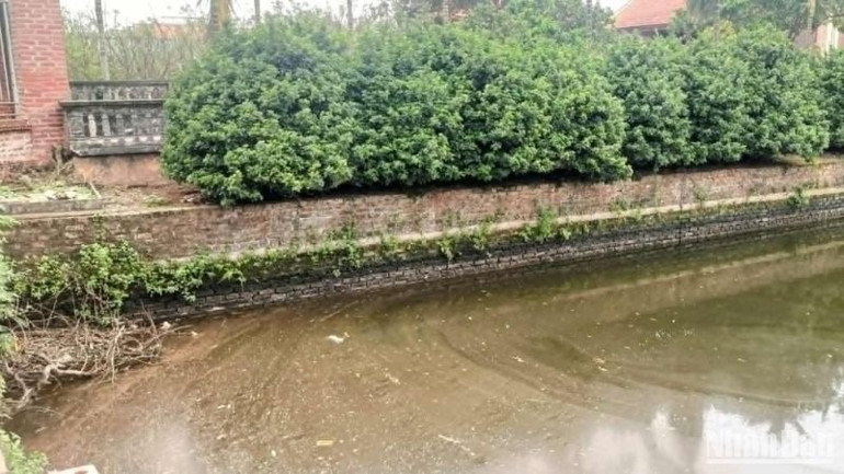 Môi trường sống ở Bách Thuận bị tác động lớn từ việc xả thải chất thải, nước thải chưa qua xử lý ra ao hồ.