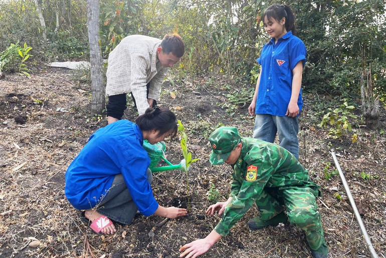 Thế hệ trẻ ở Thanh Hóa cùng tham gia trồng cây, gây rừng.