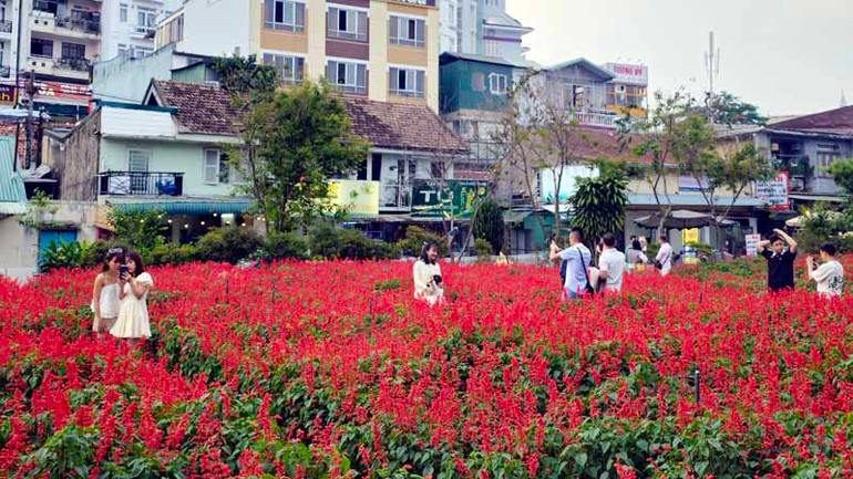 Du khách trải nghiệm xứ ngàn hoa Đà Lạt. Du khách trải nghiệm xứ ngàn hoa Đà Lạt.