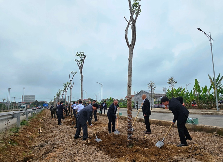 Cán bộ các ngành, cấp tỉnh hưởng ứng phong trào trồng cây đầu Xuân Giáp Thìn.