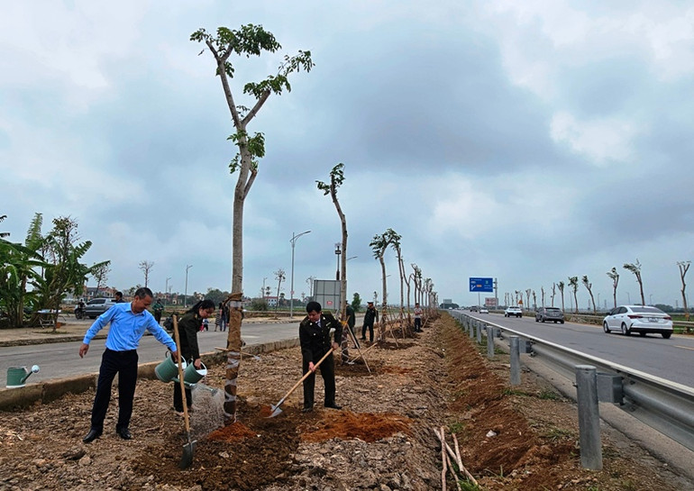 Lực lượng kiểm lâm, quản lý thị trường trồng, chăm sóc cây xanh.