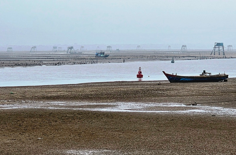 Thanh Hóa chú trọng phát triển nuôi trồng thủy sản, giảm cường lực khai thác tự nhiên.