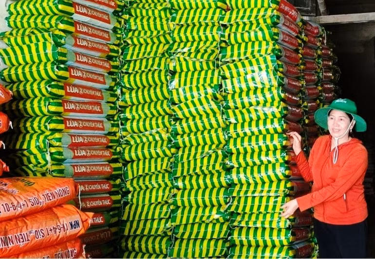 Một cơ sở dịch vụ cung ứng sản phẩm phân bón ở Thanh Hóa.