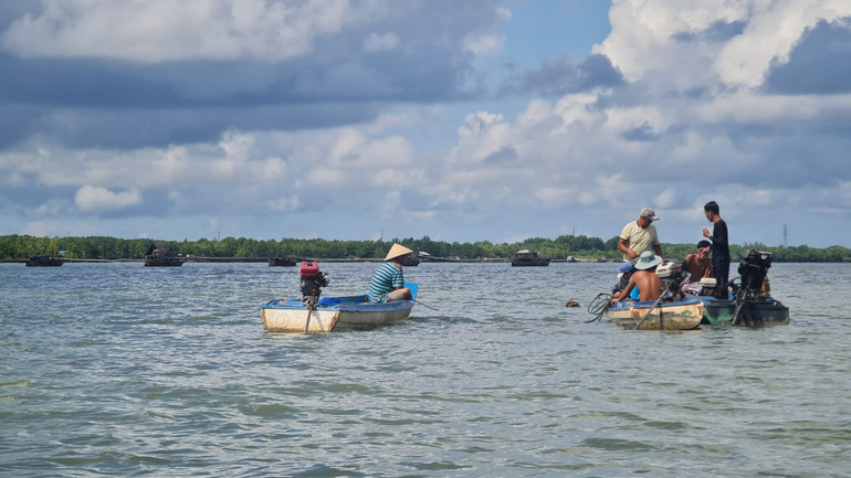 Ngư dân hành nghề hạ bạt ven tuyến sông Cửa Lớn, đoạn thuộc xã Hàng Vịnh (huyện Năm Căn, tỉnh Cà Mau)