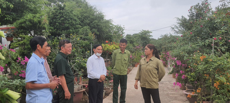 Ngân hàng Chính sách xã hội tỉnh Thái Bình và Hội Cựu chiến binh tỉnh thăm mô hình hội viên vay vốn phát triển kinh tế.