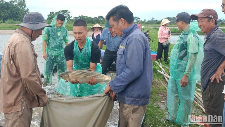 Mô hình nuôi thủy sản trong ao bán nổi tạo chuyển biến căn bản trong nhận thức của bà con nông dân.
