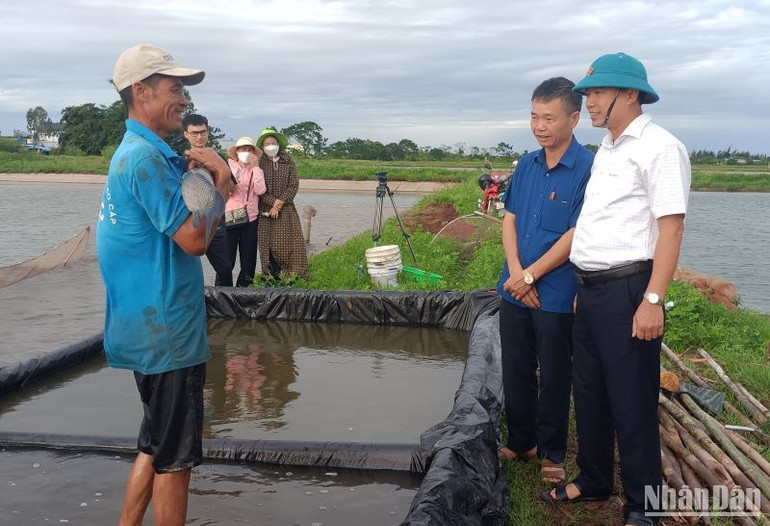 Xã Bình Định đã quy hoạch 25ha để mở rộng mô hình nuôi thủy sản trong ao bán nổi.