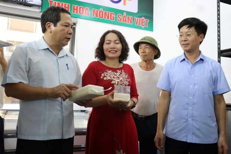 Giới thiệu, quảng bá gạo làng Giành (xã An Ninh, huyện Quỳnh Phụ, tỉnh Thái Bình) tại điểm bán các sản phẩm OCOP. (Ảnh; CTV)