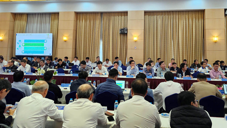 Đại biểu tham dự hội thảo.