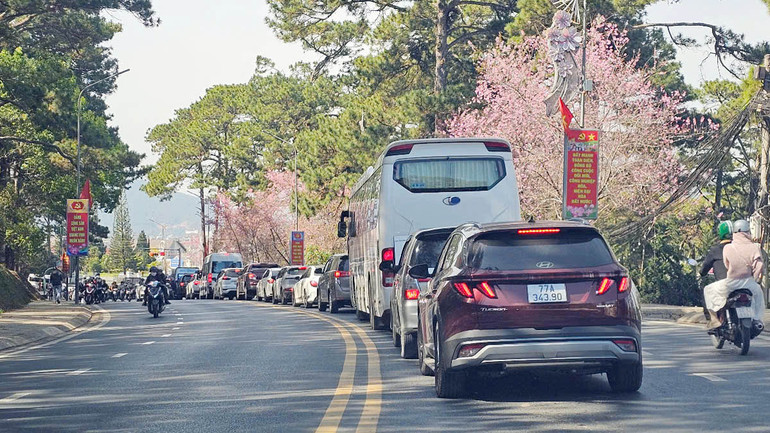 Dòng xe nối đuôi vào trung tâm thành phố Đà Lạt dịp Tết.