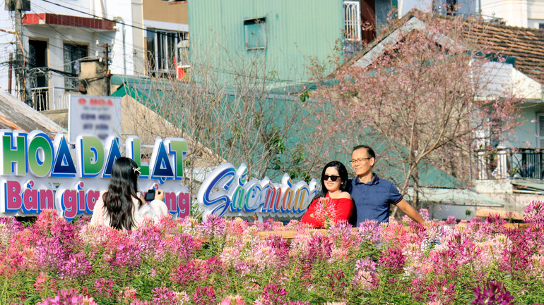 Du khách trải nghiệm cùng sắc hoa Đà Lạt.