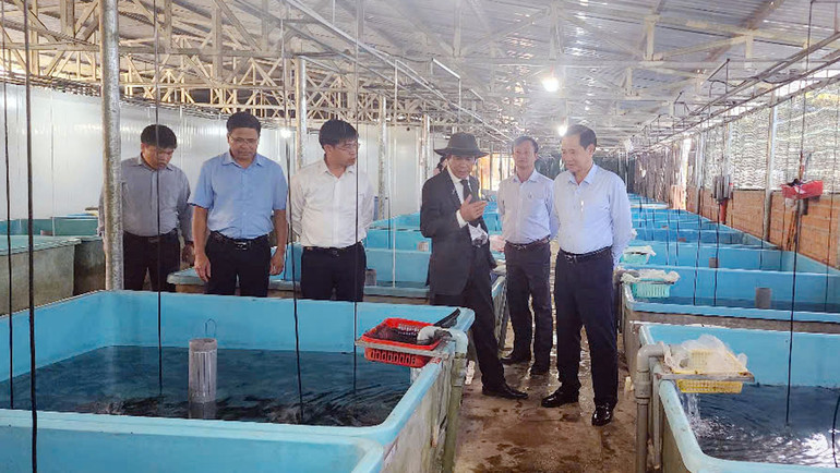 Quyền Bí thư Tỉnh ủy Lâm Đồng cùng lãnh đạo địa phương thăm trang trại cá tầm tại xã Rô Men, huyện Đam Rông.