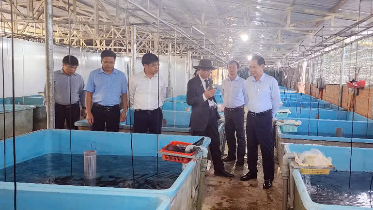 Quyền Bí thư Tỉnh ủy Lâm Đồng cùng lãnh đạo địa phương thăm trang trại cá tầm tại xã Rô Men, huyện Đam Rông.