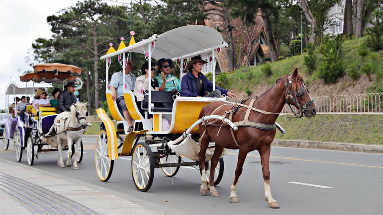 Đà Lạt thống nhất gia hạn thêm thời gian hoạt động xe ngựa chở khách quanh hồ Xuân Hương đến hết ngày 31/3.