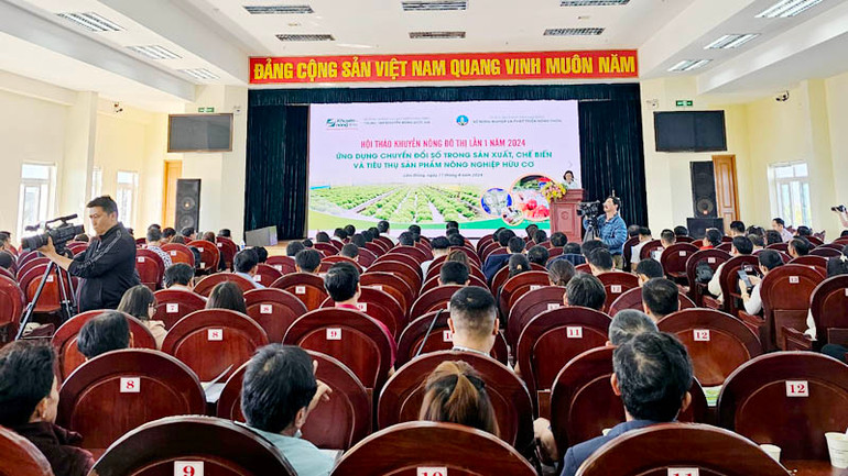 Quang cảnh hội thảo. Quang cảnh hội thảo.