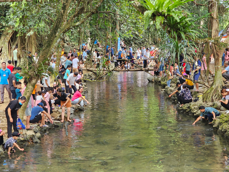 Suối cá Cẩm Lương, huyện Cẩm Thủy-điểm đến của du khách. Suối cá Cẩm Lương, huyện Cẩm Thủy-điểm đến của du khách.