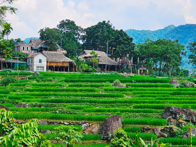 Điểm quần cư và canh tác trên đất dốc khu vực Quốc Thành, huyện Bá Thước, tỉnh Thanh Hóa. Điểm quần cư và canh tác trên đất dốc khu vực Quốc Thành, huyện Bá Thước, tỉnh Thanh Hóa.