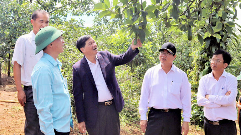 Lãnh đạo tỉnh Lâm Đồng trong chuyến về cơ sở.