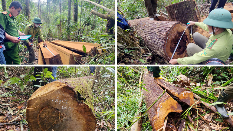 Hình ảnh ghi nhận hiện trường.