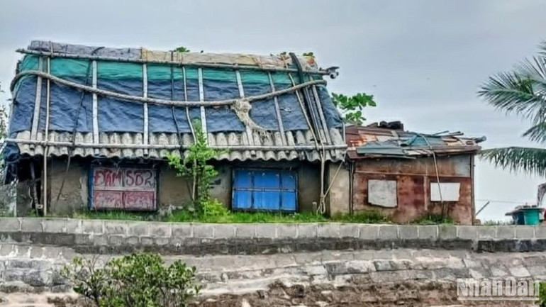 Nhà canh coi ô đầm nuôi thủy sản của một cá nhân tại xã Nam Phú (huyện Tiền Hải). Nhà canh coi ô đầm nuôi thủy sản của một cá nhân tại xã Nam Phú (huyện Tiền Hải).