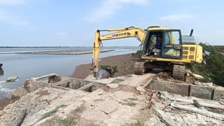 Phương tiện máy móc thực hiện phá dỡ cống thuyền tiêu thoát nước vào ra khu vực ao đầm nuôi trồng thủy sản.