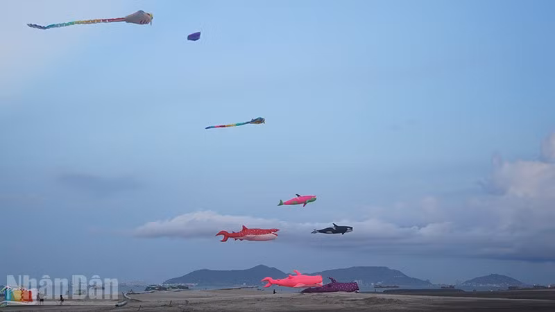 ndo_bl_dsc07725.jpg