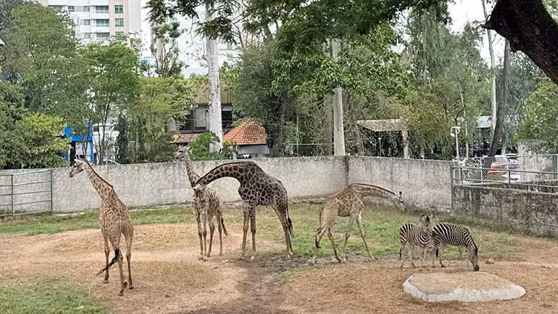 z7777967723343-6b52485c265166756ffc521272b6af6d.jpg