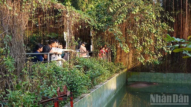 ndo_br_dsc08298.jpg