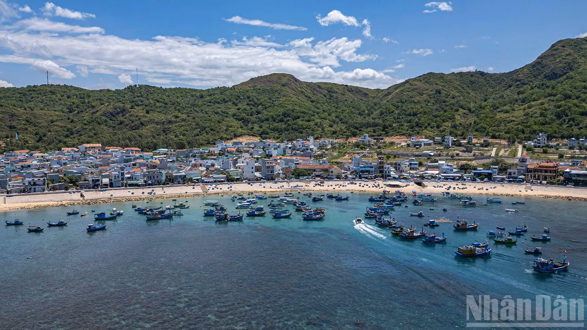 ndo_br_anh-bai-nhon-hai-10.jpg