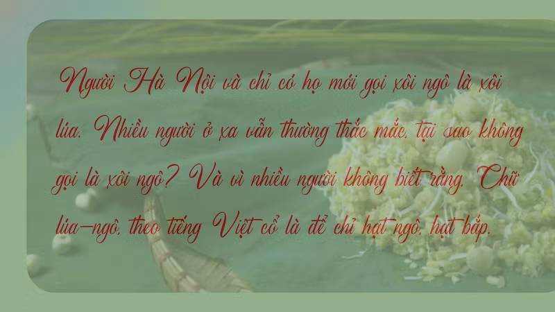 quotes-4674.png