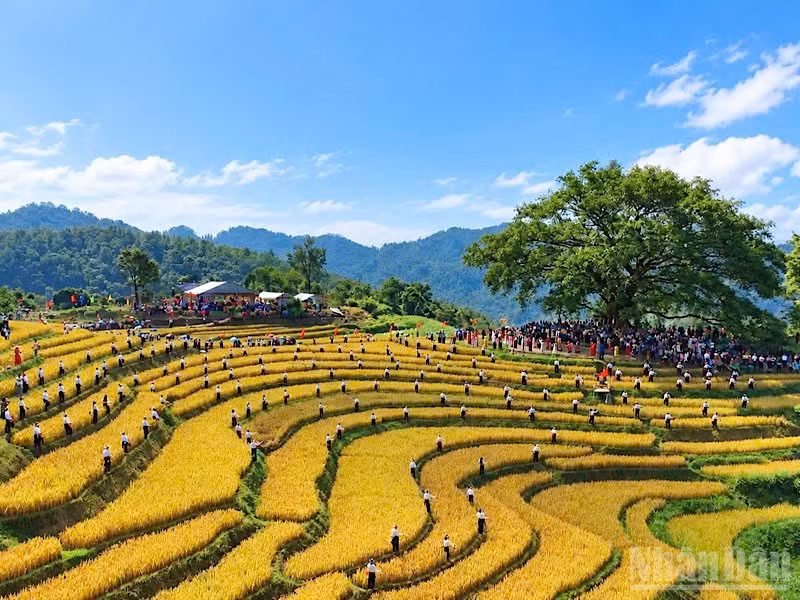 Ngày hội thu hút đông đảo nhân dân các dân tộc trong và ngoài tỉnh Phú Thọ tham gia.