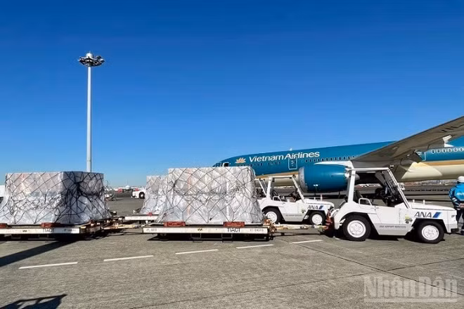 Ảnh minh họa: Hàng hóa được vận chuyển bằng đường hàng không.