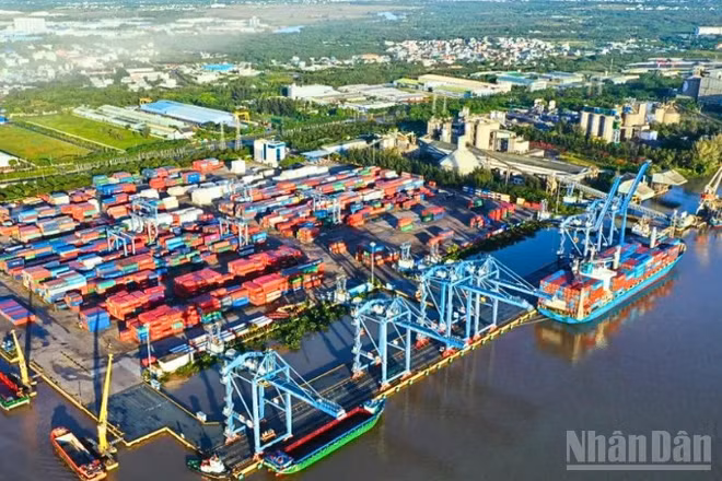 Ảnh minh họa: Tân cảng-Cảng Cát Lái.