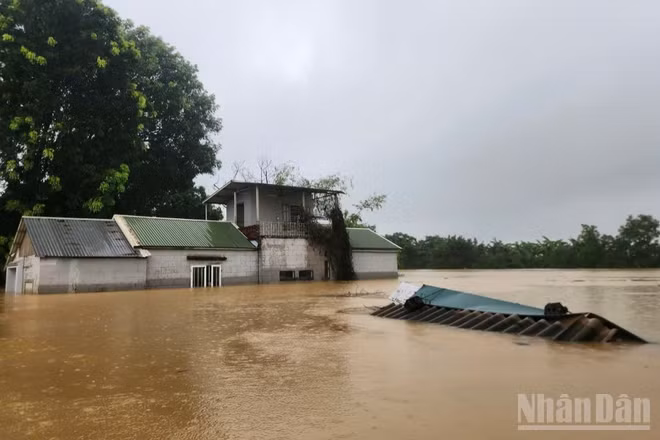 Sau nhiều ngày mưa lớn, nước sông Bùi dâng cao khiến nhiều khu vực trên địa bàn xã Quảng Bị (Hà Nội) bị ngập sâu. Ảnh chụp chiều tối ngày 16/9.