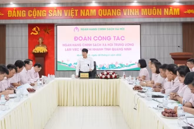Đoàn công tác làm việc với chi nhánh Ngân hàng Chính sách xã hội tỉnh Quảng Ninh