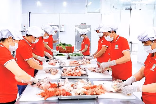 Chế biến thịt gà Đông Tảo tại Công ty cổ phần thực phẩm Tuấn Vũ Foods.