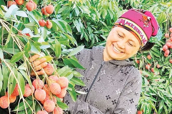 Nông dân xã Đoàn Đào chuyển đổi sang trồng vải trứng cho thu nhập cao.