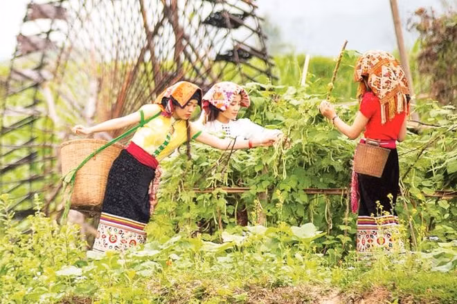 Đến với Hoa Tiến, du khách được hòa mình vào không gian đậm chất văn hóa đồng bào Thái ở miền tây Nghệ An.