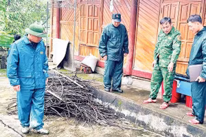 Lực lượng chức năng kiểm tra khu vực có nguy cơ sạt lở tại thôn Láo Vàng, xã Bát Xát. 