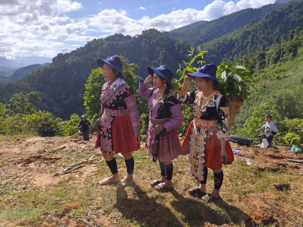 nguoi-dan-pha-luong.jpg