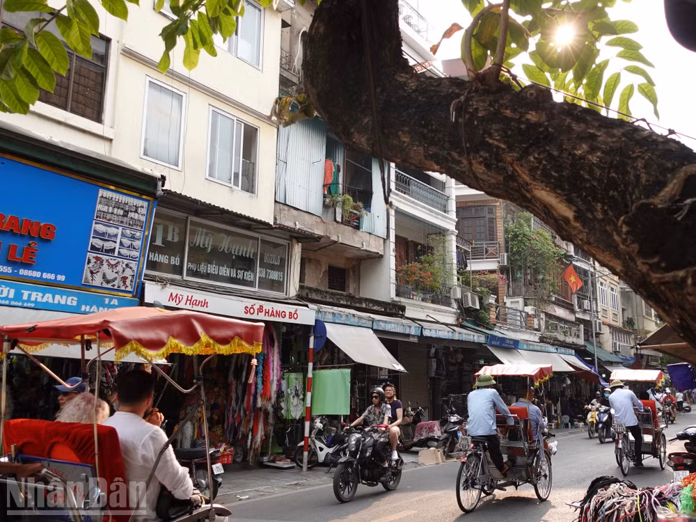 ndo_bl_anh-2.jpg