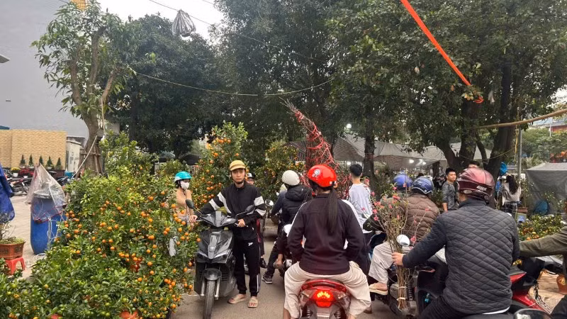 Thị trường đào, quất tấp nập vào ngày đầu nghỉ lễ.