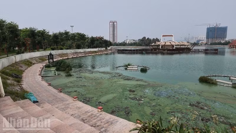 Hồ điều hòa Ngọc Thụy có dấu hiệu ô nhiễm sau thời gian đưa vào sử dụng. (Ảnh: HỒNG QUÂN)