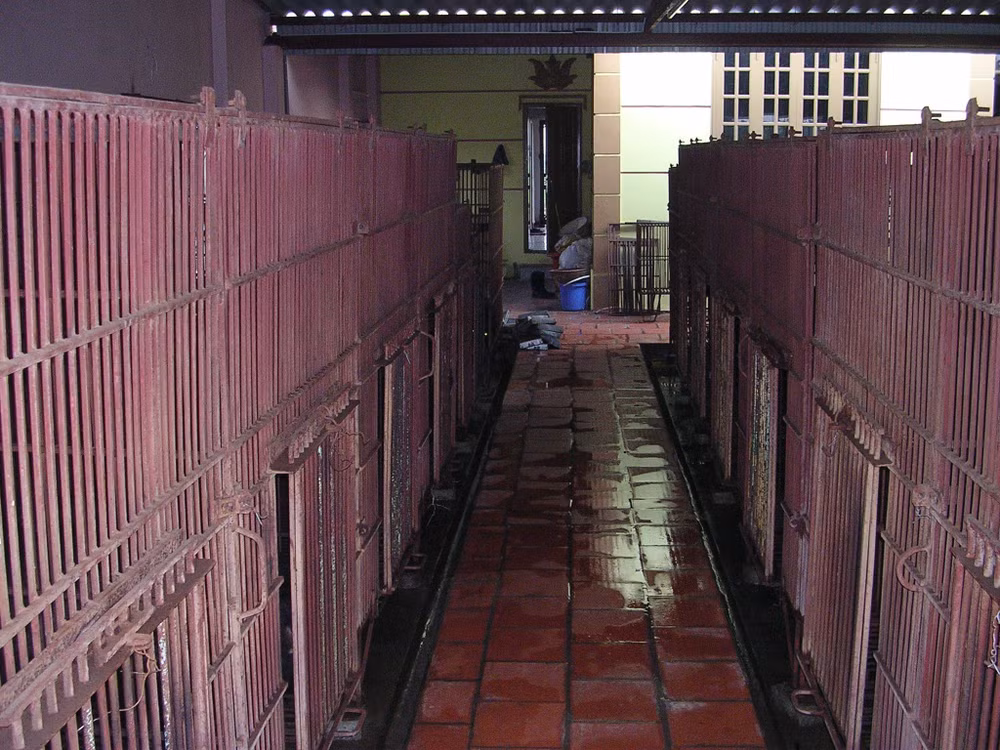 mot-co-so-nuoi-gau-tai-xa-phuc-tho-hn-env.jpg