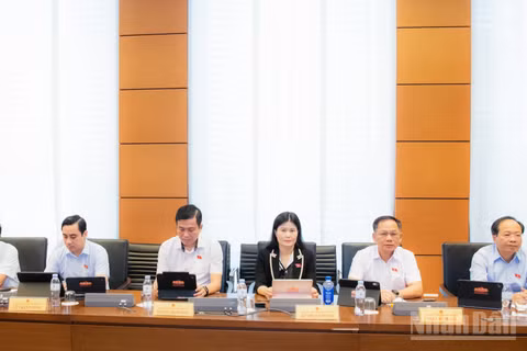 Đại biểu Quốc hội thảo luận tại tổ. (Ảnh: DUY LINH)