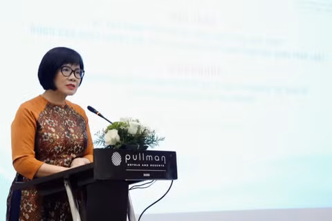 Thứ trưởng Tư pháp Đặng Hoàng Oanh phát biểu khai mạc hội thảo. (Ảnh: TL)