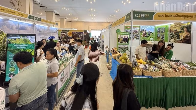 Diễn đàn và Triển lãm Nông nghiệp Campuchia 2025 (CAFE25) được tổ chức từ ngày 13-16/11 tại Thủ đô Phnom Penh. (Ảnh: ĐINH TRƯỜNG)