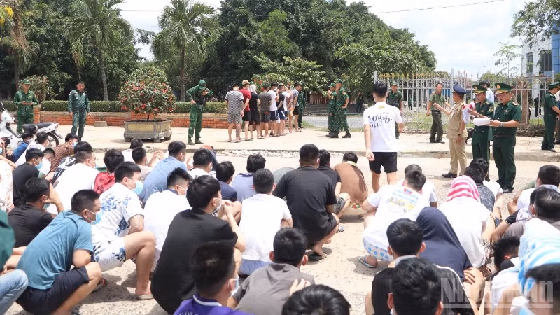 Lực lượng chức năng Việt Nam tiếp nhận các công dân liên quan tội phạm lừa đảo trực tuyến do phía Campuchia bàn giao tại khu vực cửa khẩu Mộc Bài. (Ảnh: ĐINH TRƯỜNG)
