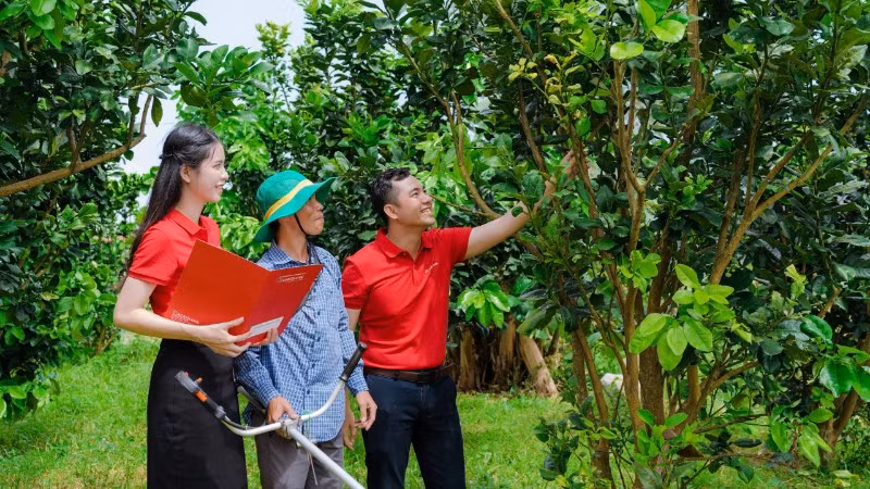 Agribank ưu tiên tài trợ cho các dự án nông nghiệp công nghệ cao, năng lượng tái tạo, trồng rừng và kinh tế tuần hoàn.